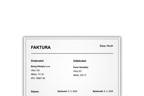 Ukázka faktury vytvořené ve Fakturyzátoru